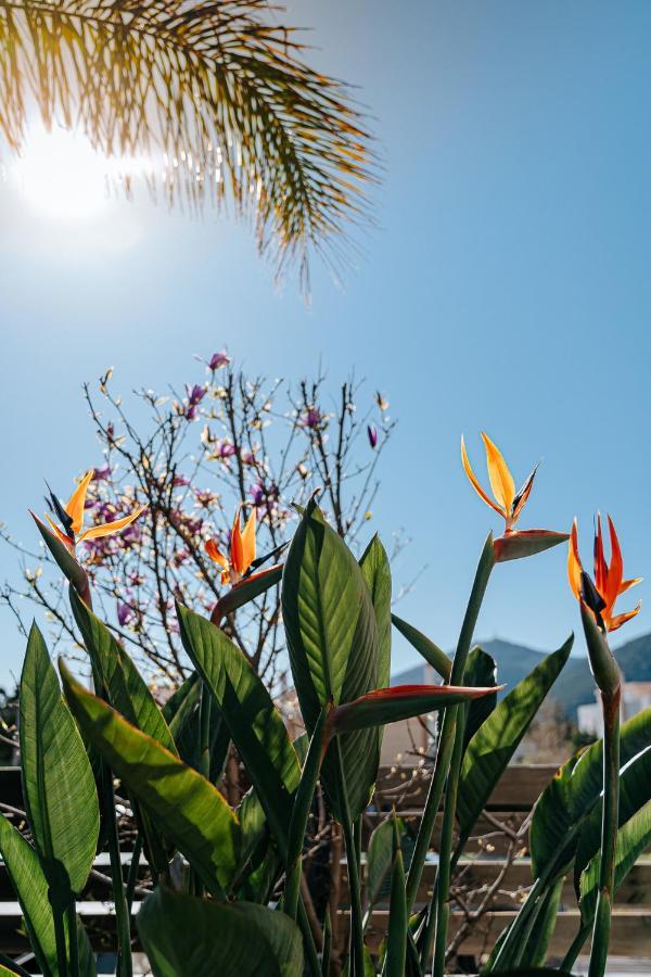 Villa The Palm, Beach & Airport Closeby - Pool Πόρτο Ράφτη Εξωτερικό φωτογραφία